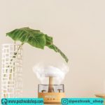 مرطوب کننده هوا ابر بارانی گرین لاین Green Lion Rain Cloud Diffuser